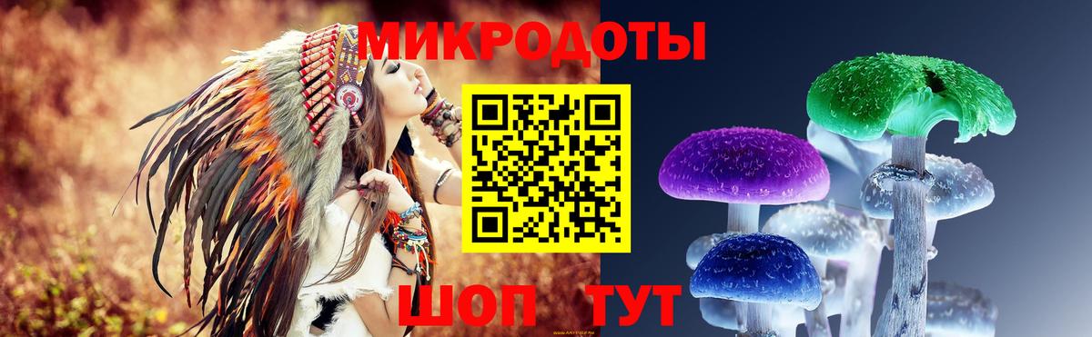 Псилоцибиновые грибы мицелий  Вход с VPN  Галлюциногенные грибы MAGIC MUSHROOMS  Элиста 